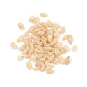 Thumb g02 pearled barley grain main