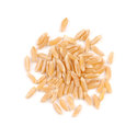 Thumb og17 kamut heritage heirloom wheat grain organic main