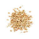 Thumb g03 buckwheat groats grain main